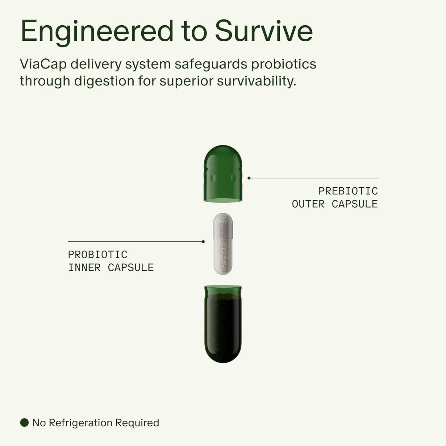 Seed DS-01 Daily Synbiotic