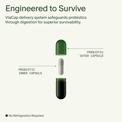 Seed DS-01 Daily Synbiotic